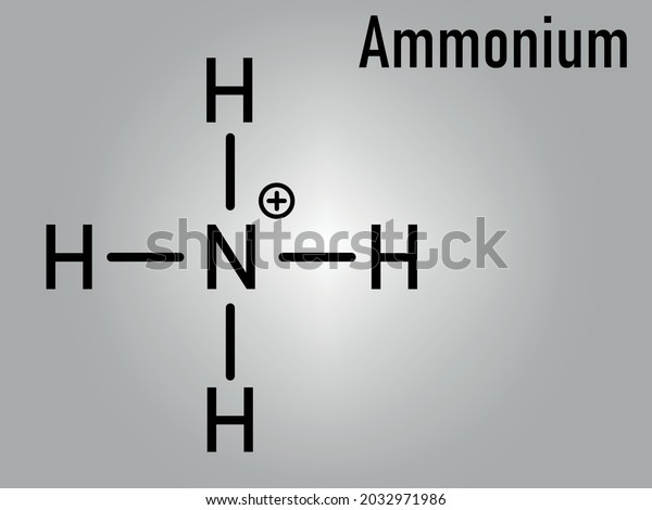 Ammonium Cation Skeletal Formula Protonated Form Stock Vector (Royalty ...