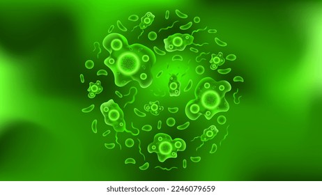 Amoeba background vector in green color, organism microbiology bacteria virus, template for diseases medical presentation 