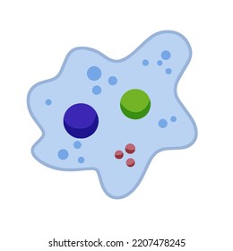 Amoeba cell. Small unicellular animal. Virus and bacteria. Education and science. Flat cartoon illustration