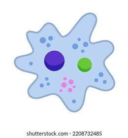 Amoeba cell. Small unicellular animal. Virus and bacteria. Education and science. Flat cartoon illustration