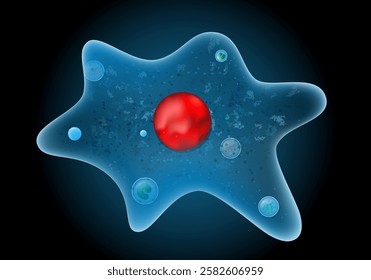 Amoeba proteus. Close-up of Unicellular organism on dark background. Protozoa anatomy. Realistic vector illustration