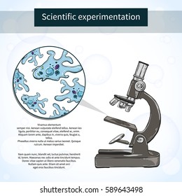 Amoebas under the microscope. Scientific laboratory. Vector illustration