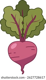 Among healthy and fresh vegetables, BEET