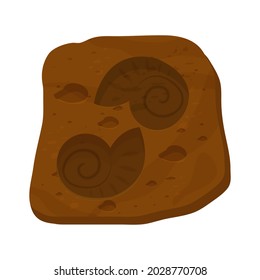 Amonite shell fossil, prehistoric creature in cartoon style isolated on white background. Science spiral snail. 