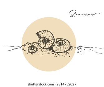 Amonymites in the sand, ink vector sketch