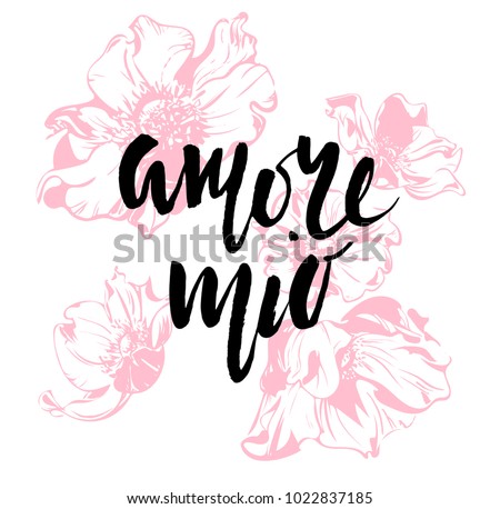 Amore mio. Valentines day calligraphy card. Hand drawn design elements. Handwritten modern brush lettering.