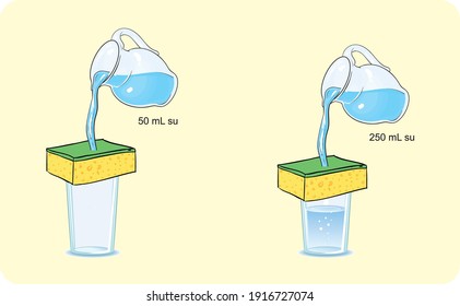 
the amount of moisture humidity in the air precipitation heat and temperature science lesson