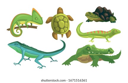 Illustration zur Amphibientierart, Schildkröte, Chameleon, Lizard, Krokodile, Salamander-Vektorillustration