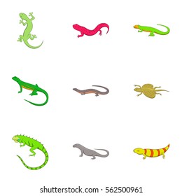 Amphibian reptile species icons set. Cartoon illustration of 9 amphibian reptile species vector icons for web