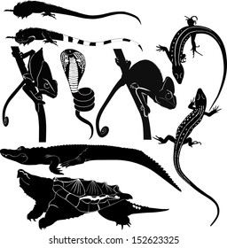 amphibian silhouettes set isolated on white background