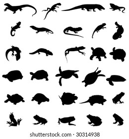 Amphibians and reptiles