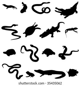 Amphibians and reptiles