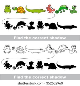 Amphibious set. Find correct shadow.