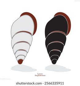 Amphidromus snail mollusk vector icon. uncommon snail