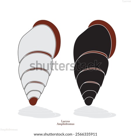 Amphidromus snail mollusk vector icon. uncommon snail