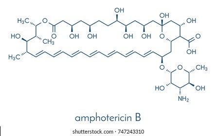 Amphotericin B Antifungal Drug Molecule Skeletal Stock Vector (Royalty ...