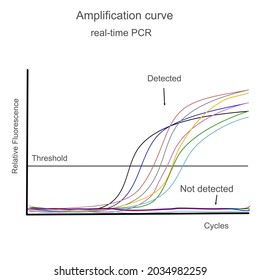 The amplification curve of real time-PCR or Qualitative PCR