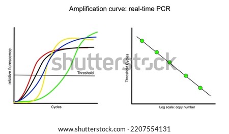 The amplification curve of target DNA detection with real-time PCR technique that represent the two type of analytical graph: normal curve and log