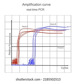 The amplification graph of real-time PCR technique that represent the detection curve of Gene A and B at different cycle threshold (ct)