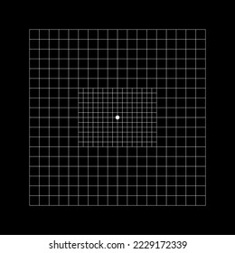 Amsler grid type with central squares divided into 0,5 degree squares. Graphic test to detecting vision defects. Ophthalmologic diagnostic tool. Vector graphic illustration