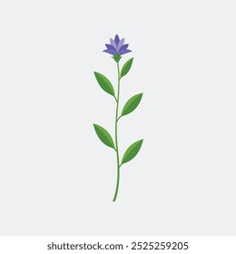 Amsonia flower Vector art illustration