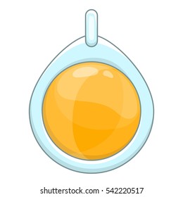 Amulet icon. Cartoon illustration of amulet vector icon for web design