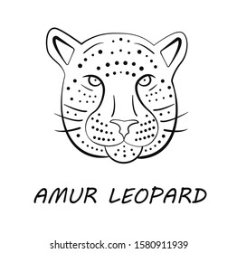 Amur leopard face in simple black and white style, vector illustration