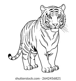 Amur Leopard – Panthera pardus orientali. Stunning leopard with spotted coat resting on solid ground. Wildlife nature concept. Illustrated in a detailed sketch resting on solid ground