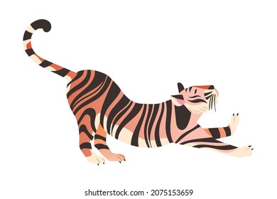 Amur, Siberian tiger. Side view of gracefull big wild cat vector illustration