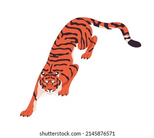 Amur tiger crawling, walking. Wild cat going, moving on paws, hunting, looking up. Striped feline predator. Carnivore animal wildcat attacking. Flat vector illustration isolated on white background