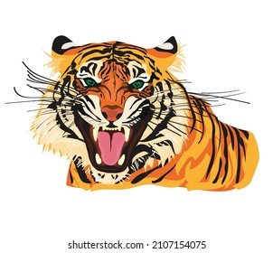 Amur tiger goes isolated on white background. Vector tiger side view. Endangered animal