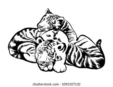 Amur tiger rare species of animals