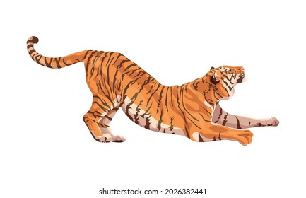 Amur tiger sits, attacks, hunts isolated on white background. Vector tiger side view. Endangered animal
Animals of Asia. Panthera tigris. Big cats. Predatory mammals.