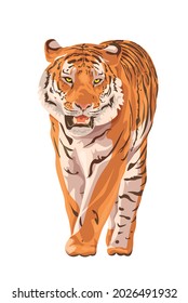 The Amur tiger stands, attacks, hunts on a white background. Vector tiger side view. Endangered animal
Animals of Asia. Panthera tigris. Big cats. Predatory mammals.