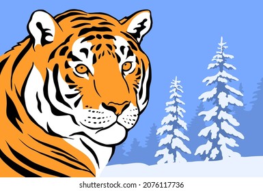 Amur tiger in the winter forest. The head of a wild animal. Wild cat predator. Snowy trees in the background. Vector art illustration