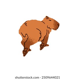 Amusing capibara walks back view. Cute furry capybara goes away, out. Adorable fluffy animal steps. Funny big rodent strolls. Flat isolated hand drawn vector illustration on white background