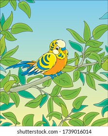 Amusing colorful parrot, long-tailed and with brightly colored plumage, perched on a green tree branch in a wild tropical jungle, vector cartoon illustration