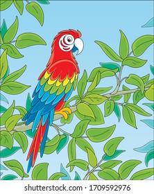Amusing colorful parrot macaw, long-tailed and with brightly colored plumage, perched on a green tree branch in a tropical jungle, wild scenery, vector cartoon illustration