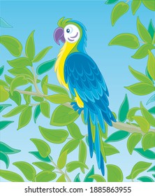 Amusing colorful parrot macaw, long-tailed and with brightly colored plumage, perched on a green tree branch in a tropical jungle, wild scenery, vector cartoon illustration