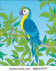Amusing colorful parrot macaw, long-tailed and with brightly colored plumage, perched on a green tree branch in a tropical jungle, wild scenery, vector cartoon illustration