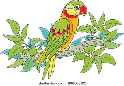 Amusing colorful parrot perched on a green tree branch in a tropical jungle, vector cartoon illustration isolated on a white background