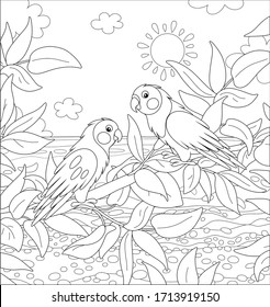 Amusing exotic parrots perched on a tree branch in a tropical jungle on a sea background on a sunny summer day, black and white vector cartoon illustration for a coloring book page