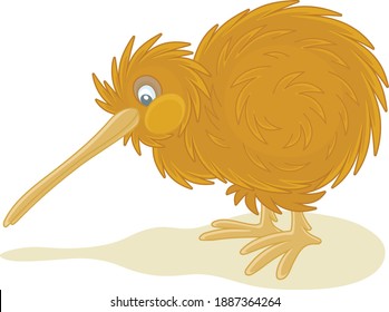 Amusing flightless New Zealand kiwi bird with shaggy feathers and a long bill, vector cartoon illustration isolated on a white background