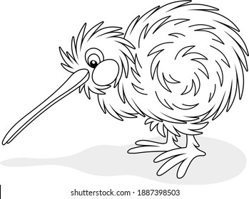 Amusing flightless New Zealand kiwi bird with shaggy feathers and a long bill, black and white outline vector cartoon illustration for a coloring book page