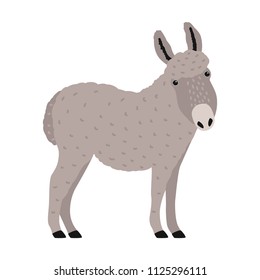 Amusing grey donkey, ass or burro isolated on white background. Portrait of adorable cartoon domestic working animal, farm livestock. Colorful and drawn vector illustration in modern trendy style.