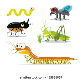 Amusing insects. Set of images of few funny creepy-crawly bugs. Vector illustration