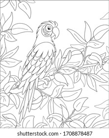 Amusing long-tailed parrot macaw with a striped plumage, perched among leaves on a tree branch in a tropical jungle, wild scenery, black and white vector cartoon illustration for a coloring book page