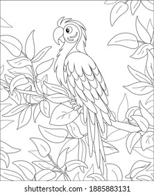 Amusing long-tailed parrot macaw with a striped plumage, perched among leaves on a tree branch in a tropical jungle, wild scenery, black and white vector cartoon illustration