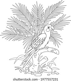 Amusing parrot with a long tail perched on a tree branch among palm leaves in a tropical jungle, black and white outline vector cartoon illustration for a coloring book page