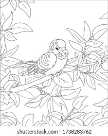 Amusing parrot, long-tailed, perched on a tree branch in a wild tropical jungle, black and white outline vector cartoon illustration for a coloring book page